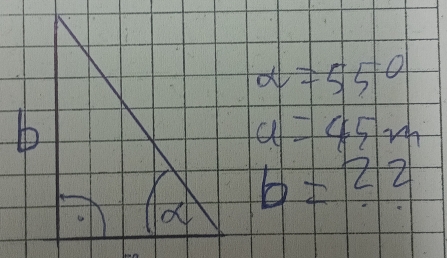 a=55°
a=45m
b=22