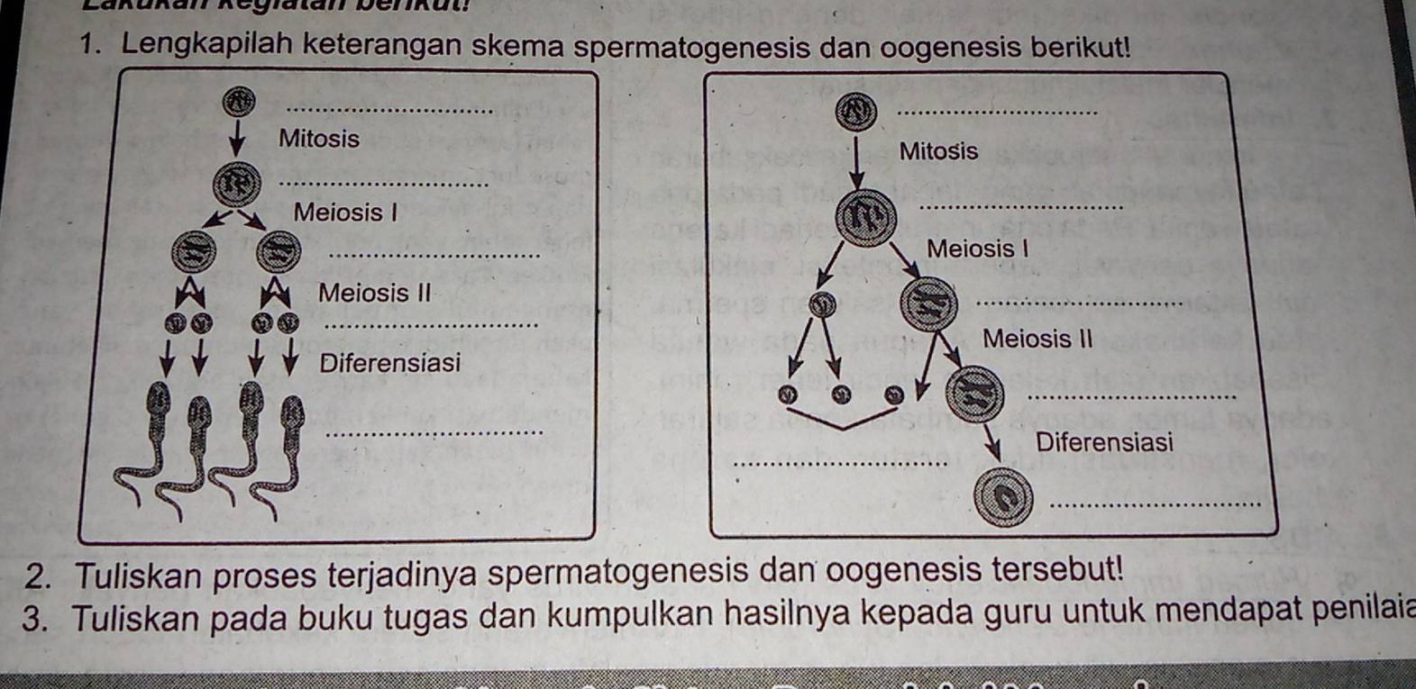 Tasmali porno jinsiy aloqa