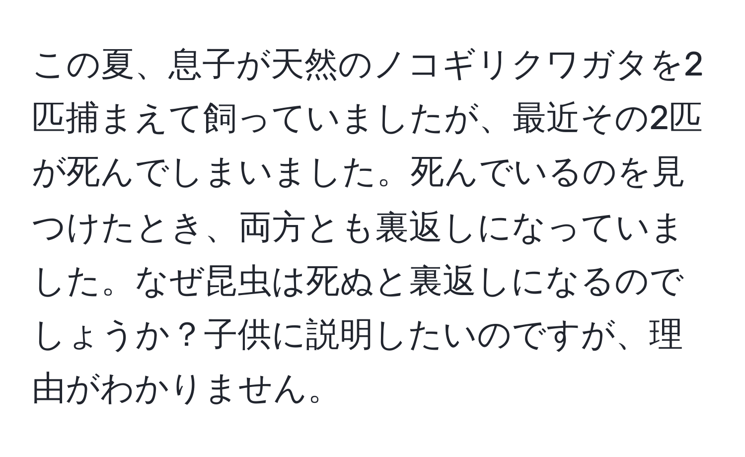 この夏、息子が天然のノコギリクワガタを2匹捕まえて飼っていましたが、最近その2匹が死んでしまいました。死んでいるのを見つけたとき、両方とも裏返しになっていました。なぜ昆虫は死ぬと裏返しになるのでしょうか？子供に説明したいのですが、理由がわかりません。