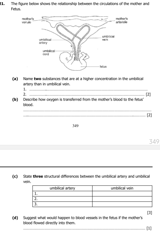 The figure below shows the relationship between the circulations of the mother and
Fetus.
(a) Name two substances that are at a higher concentration in the umbilical
artery than in umbilical vein.
1._
2. _[2]
(b) Describe how oxygen is transferred from the mother's blood to the fetus'
blood.
_
_[2]
349
349
(c) State three structural differences between the umbilical artery and umbilical
vein.
[3]
(d) Suggest what would happen to blood vessels in the fetus if the mother's
blood flowed directly into them.
_[1]