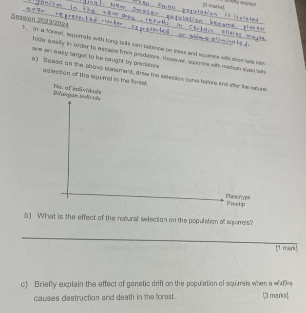 Brsfly explain 
[3 marks] 
a to 
Session 2023/2024 1. In a forest, squirrels with long tails can balance on trees and squirrels with short tails can 
hide easily in order to escape from predators. However, squirrels with medium sized tails 
are an easy target to be caught by predators 
a) Based on the above statement, draw the selection curve before and after the natural 
selection of the squirrel in the forest. 
No. of individuals 
Bilangan individu 
Phenotype 
Fenotip 
b) What is the effect of the natural selection on the population of squirrels? 
[1 mark] 
c) Briefly explain the effect of genetic drift on the population of squirrels when a wildfire 
causes destruction and death in the forest. [3 marks]