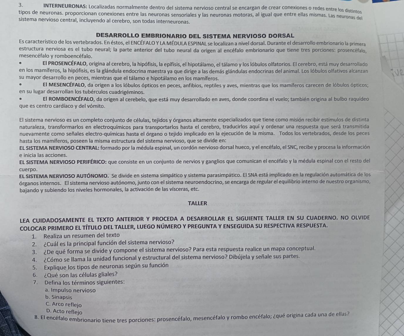 INTERNEURONAS: Localizadas normalmente dentro del sistema nervioso central se encargan de crear conexiones o redes entre los distintos
tipos de neuronas. proporcionan conexiones entre las neuronas sensoriales y las neuronas motoras, al igual que entre ellas mismas. Las neuronas del
sistema nervioso central, incluyendo al cerebro, son todas interneuronas.
DESARROLLO EMBRIONARIO DEL SISTEMA NERVIOSO DORSAL
Es característico de los vertebrados. En éstos, el ENCÉFALO Y LA MÉDULA ESPINAL se localizan a nivel dorsal. Durante el desarrollo embrionario la primera
estructura nerviosa es el tubo neural; la parte anterior del tubo neural da origen al encéfalo embrionario que tiene tres porciones: prosencéfalo,
mesencéfalo y romboencéfalo.
El PROSENCÉFALO, origina al cerebro, la hipófisis, la epífisis, el hipotálamo, el tálamo y los lóbulos olfatorios. El cerebro, está muy desarrollado
en los mamíferos, la hipófisis, es la glándula endocrina maestra ya que dirige a las demás glándulas endocrinas del animal. Los lóbulos olfativos alcanzan
su mayor desarrollo en peces, mientras que el tálamo e hipotálamo en los mamíferos.
El MESENCÉFALO, da origen a los lóbulos ópticos en peces, anfibios, reptiles y aves, mientras que los mamíferos carecen de lóbulos ópticos;
en su lugar desarrollan los tubérculos cuadrigéminos.
El ROMBOENCÉFALO, da origen al cerebelo, que está muy desarrollado en aves, donde coordina el vuelo; también origina al bulbo raquídeo
que es centro cardíaco y del vómito.
El sistema nervioso es un completo conjunto de células, tejidos y órganos altamente especializados que tiene como misión recibir estímulos de distinta
naturaleza, transformarlos en electroquímicos para transportarlos hasta el cerebro, traducirlos aquí y ordenar una respuesta que será transmitida
nuevamente como señales electro-químicas hasta el órgano o tejido implicado en la ejecución de la misma. Todos los vertebrados, desde los peces
hasta los mamíferos, poseen la misma estructura del sistema nervioso, que se divide en:
EL SISTEMA NERVIOSO CENTRAL: formado por la médula espinal, un cordón nervioso dorsal hueco, y el encéfalo, el SNC, recibe y procesa la información
e inicia las acciones.
EL SISTEMA NERVIOSO PERIFÉRICO: que consiste en un conjunto de nervios y ganglios que comunican el encéfalo y la médula espinal con el resto del
cuerpo.
El SISTEMA NERVIOSO AUTÓNOMO. Se divide en sistema simpático y sistema parasimpático. El SNA está implicado en la regulación automática de los
órganos internos. El sistema nervioso autónomo, junto con el sistema neuroendocrino, se encarga de regular el equilibrio interno de nuestro organismo,
bajando y subiendo los niveles hormonales, la activación de las vísceras, etc.
TALLER
LEA CUIDADOSAMENTE EL TEXTO ANTERIOR Y PROCEDA A DESARROLLAR EL SIGUIENTE TALLER EN SU CUADERNO. NO OLVIDE
COLOCAR PRIMERO EL TÍTULO DEL TALLER, LUEGO NÚMERO Y PREGUNTA Y ENSEGUIDA SU RESPECTIVA RESPUESTA.
1. Realiza un resumen del texto
2. ¿Cuál es la principal función del sistema nervioso?
3. ¿De qué forma se divide y compone el sistema nervioso? Para esta respuesta realice un mapa conceptual.
4. ¿Cómo se llama la unidad funcional y estructural del sistema nervioso? Dibújela y señale sus partes.
5. Explique los tipos de neuronas según su función
6. ¿Qué son las células gliales?
7. Defina los términos siguientes:
a. Impulso nervioso
b. Sinapsis
C. Arco reflejo
D. Acto reflejo
8. El encéfalo embrionario tiene tres porciones: prosencéfalo, mesencéfalo y rombo encéfalo; ¿qué origina cada una de ellas?