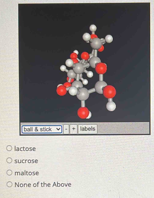 sucrose
maltose
None of the Above