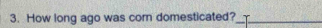 How long ago was corn domesticated?