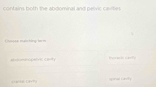 contains both the abdominal and pelvic cavities
Choose matching term
abdominopelvic cavity thoracic cavity
cranial cavity spinal cavity