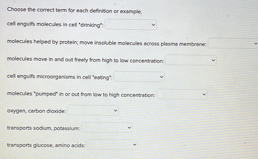 Choose the correct term for each definition or example.
cell engulfs molecules in cell "drinking":
molecules helped by protein; move insoluble molecules across plasma membrane:
molecules move in and out freely from high to low concentration:
cell engulfs microorganisms in cell "eating":
molecules "pumped" in or out from low to high concentration:
oxygen, carbon dioxide:
transports sodium, potassium:
transports glucose, amino acids: