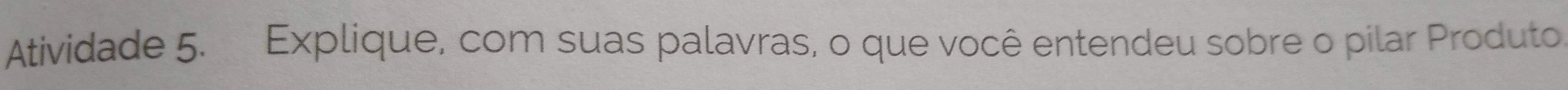 Atividade 5. Explique, com suas palavras, o que você entendeu sobre o pilar Produto