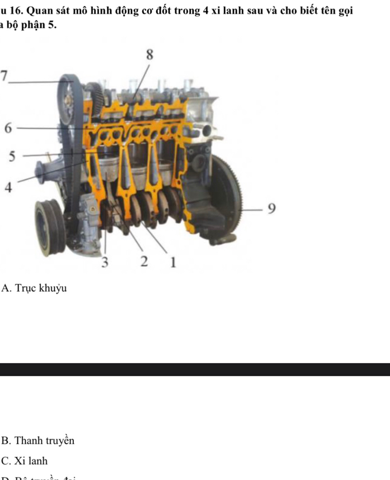 Quan sát mô hình động cơ đốt trong 4 xi lanh sau và cho biết tên gọi
a bộ phận 5.
7
6
5
4
A. Trục khuỷu
B. Thanh truyền
C. Xi lanh