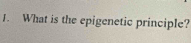 What is the epigenetic principle?