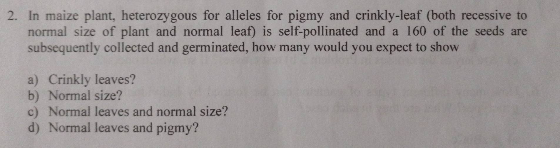 In maize plant, heterozygous for alleles for pigmy and crinkly-leaf (both recessive to 
normal size of plant and normal leaf) is self-pollinated and a 160 of the seeds are 
subsequently collected and germinated, how many would you expect to show 
a) Crinkly leaves? 
b) Normal size? 
c) Normal leaves and normal size? 
d) Normal leaves and pigmy?