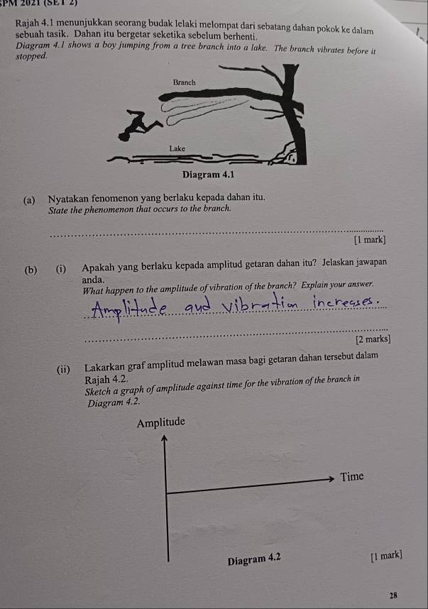 PM 2021 (SET 2) 
Rajah 4.1 menunjukkan seorang budak lelaki melompat dari sebatang dahan pokok ke dalam 
sebuah tasik. Dahan itu bergetar seketika sebelum berhenti. 
Diagram 4.1 shows a boy jumping from a tree branch into a lake. The branch vibrates before it 
stopped. 
(a) Nyatakan fenomenon yang berlaku kepada dahan itu. 
State the phenomenon that occurs to the branch. 
_ 
[1 mark] 
(b) (i) Apakah yang berlaku kepada amplitud getaran dahan itu? Jelaskan jawapan 
anda. 
What happen to the amplitude of vibration of the branch? Explain your answer. 
_ 
_ 
[2 marks] 
(ii) Lakarkan graf amplitud melawan masa bagi getaran dahan tersebut dalam 
Rajah 4.2. 
Sketch a graph of amplitude against time for the vibration of the branch in 
Diagram 4.2. 
mark] 
28