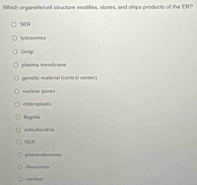 Which organelle/cell structure modifies, stores, and ships products of the ER?
SER
lysosomes
Golgi
plasma membrane
genetic material (control center)
nuclear pores
chloroplasts
flagella
mitochondria
RER
plasmodesmata
ribasames
nucleus