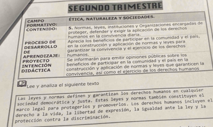 RIMESTRE 
1 
Lee y analiza el siguiente texto 
Las leyes y normas defínen y garantizan los derechos humanos en cualquier 
sociedad democrática y justa. Estas leyes y normas también constituyen el 
marco legal para protegerlos y promoverlos. Los derechos humanos incluyen el 
derecho a la vida, la libertad de expresión, la igualdad ante la ley y la 
protección contra la discriminación.