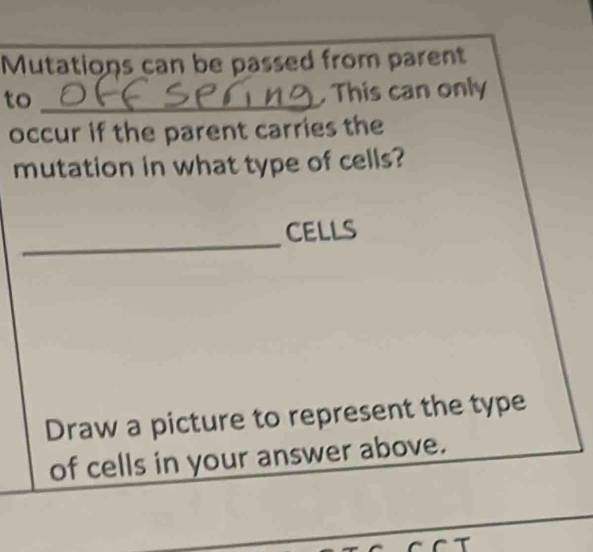 Mutations can be passed from parent 
to_ 
, This can only 
occur if the parent carries the 
mutation in what type of cells? 
_ 
CELLS 
Draw a picture to represent the type 
of cells in your answer above. 
_ 
_ 
T