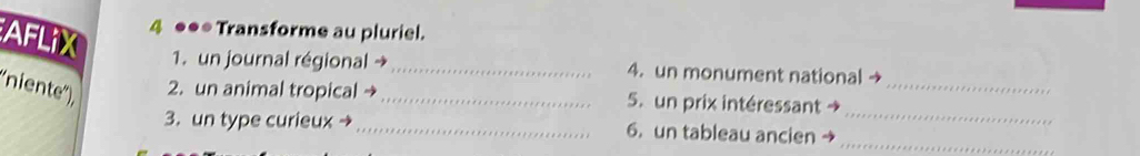 AFLiX 
4 ●●* Transforme au pluriel. 
1. un journal régional →_ 4. un monument national → 
_ 
niente'', 2. un animal tropical →_ 5. un prix intéressant →_ 
_ 
3. un type curieux →_ 6. un tableau ancien