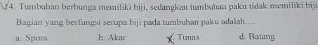 Tumbuhan berbunga memiliki biji, sedangkan tumbuhan paku tidak memiliki biji
Bagian yang berfungsi serupa biji pada tumbuhan paku adalah....
a. Spora b. Akar Tunas d. Batang