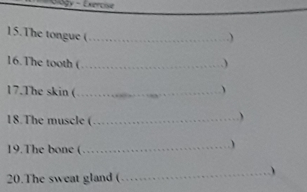 Biogy - Exercise 
15.The tongue (_ 
.) 
16.The tooth (_ 
17.The skin (_ 
 
18.The muscle (_ 
) 
19.The bone (_ 
20.The sweat gland ( 
_