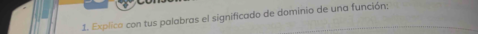 Explica con tus palabras el significado de dominio de una función: