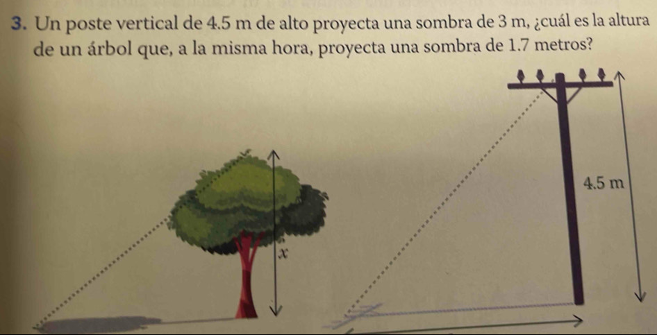 Un poste vertical de 4.5 m de alto proyecta una sombra de 3 m, ¿cuál es la altura 
de un árbol que, a la misma hora, proyecta una sombra de 1.7 metros? 
x