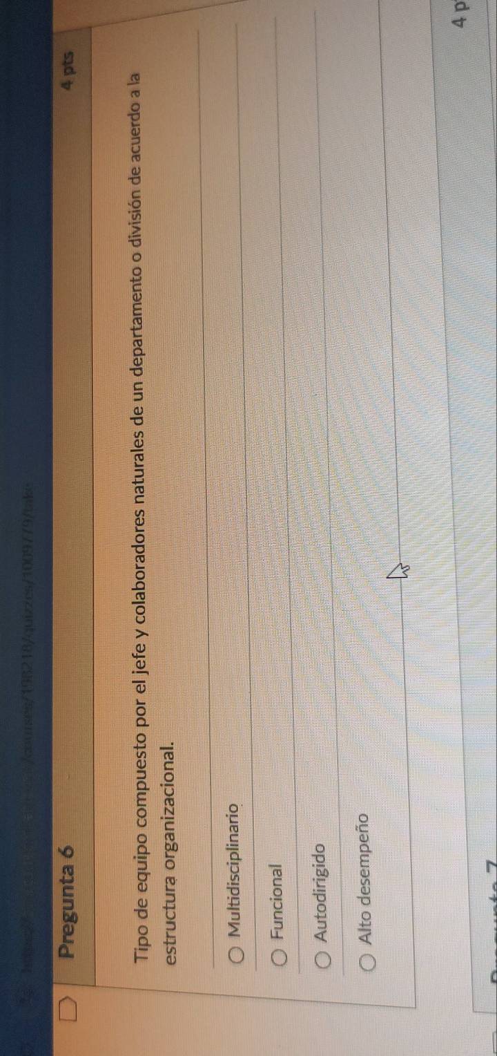 8218/quizzes/1009779/take
Pregunta 6 4 pts
Tipo de equipo compuesto por el jefe y colaboradores naturales de un departamento o división de acuerdo a la
estructura organizacional.
Multidisciplinario
Funcional
Autodirigido
Alto desempeño
4 p