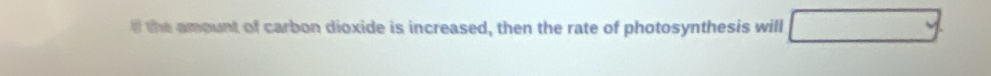 the amount of carbon dioxide is increased, then the rate of photosynthesis will □