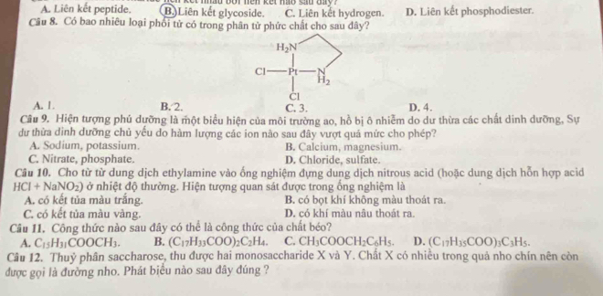 A. Liên kết peptide. B.Liên kết glycoside.      m had bo t ne n ket  hao sad da   . C. Liên kết hydrogen. D. Liên kết phosphodiester.
Câu 8. Có bao nhiêu loại phối tử có trong phân tử phức chất cho sau dây?
A. 1. B. 2. D. 4.
Câu 9. Hiện tượng phủ dưỡng là một biểu hiện của môi trường ao, hồ bị ô nhiễm do dư thừa các chất dinh dưỡng, Sự
dư thừa dinh dưỡng chủ yếu do hàm lượng các ion nào sau đây vượt quả mức cho phép?
A. Sodium, potassium. B. Calcium, magnesium.
C. Nitrate, phosphate. D. Chloride, sulfate.
Câu 10. Cho từ từ dung dịch ethylamine vào ống nghiệm đựng dung dịch nitrous acid (hoặc dung dịch hỗn hợp acid
HCl+NaNO_2) ở nhiệt độ thường. Hiện tượng quan sát được trong ống nghiệm là
A. có kết tủa màu trắng. B. có bọt khí không màu thoát ra.
C. có kết tủa màu vàng. D. có khí màu nâu thoát ra.
Câu 11. Công thức nào sau đây có thể là công thức của chất béo?
A. C_15H_31COOCH_3. B. (C_17H_33COO)_2C_2H_4. C. CH_3COOCH_2C_6H_5. D. (C_17H_35COO)_3C_3H_5.
Câu 12. Thuỷ phân saccharose, thu được hai monosaccharide X và Y. Chất X có nhiều trong quả nho chín nên còn
được gọi là đường nho. Phát biểu nào sau đây đúng ?