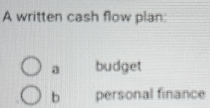 A written cash flow plan: 
a budget 
b personal finance