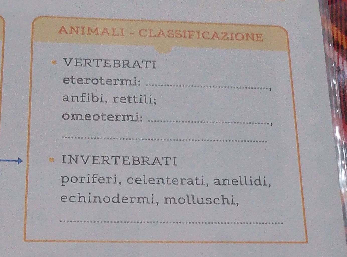 ANIMALI - CLASSIFICAZIONE 
VERTEBRATI 
eterotermi:_ 
, 
anfibi, rettili; 
omeotermi:_ 
, 
_ 
INVERTEBRATI 
poriferi, celenterati, anellidi, 
echinodermi, molluschi, 
_