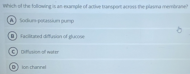 Which of the following is an example of active transport across the plasma membrane?
A Sodium-potassium pump
B Facilitated diffusion of glucose
C Diffusion of water
D Ion channel