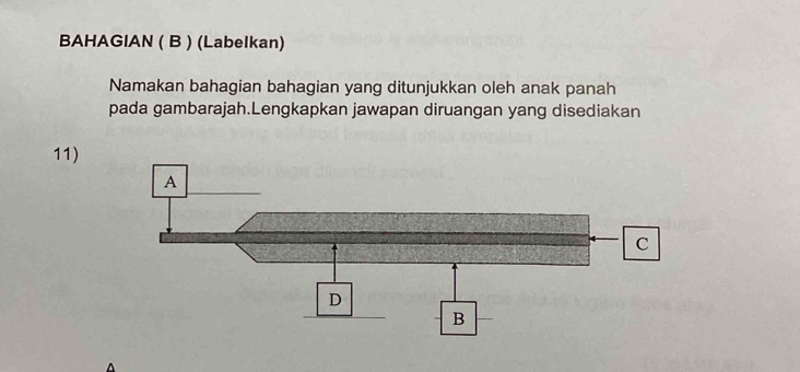 BAHAGIAN ( B ) (Labelkan) 
Namakan bahagian bahagian yang ditunjukkan oleh anak panah 
pada gambarajah.Lengkapkan jawapan diruangan yang disediakan 
11)