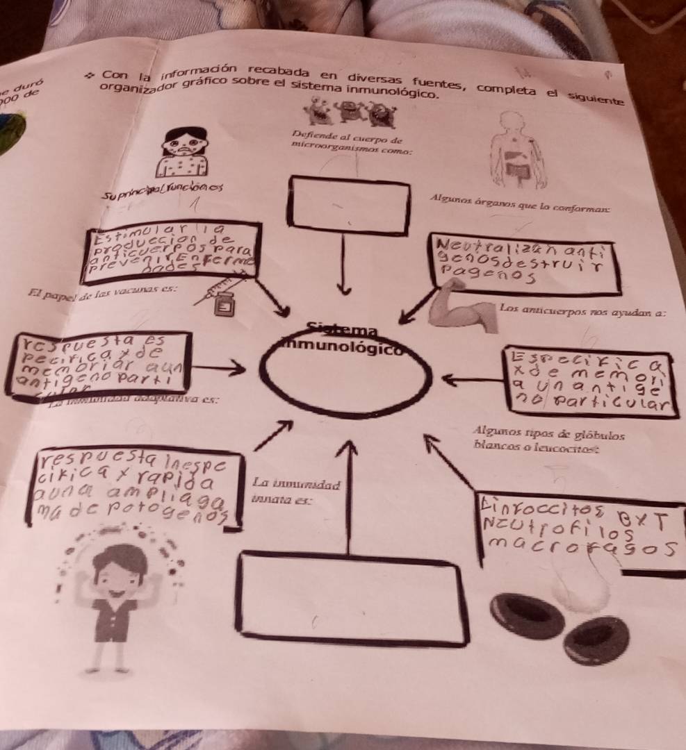 Con la información recabada en diversas fuentes, co 
de e duró 
organador gráfico sobre el sistema 
E 
a:
r
p
m