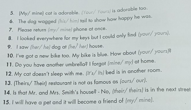 (My/ mine) cat is adorable. (Your/ Yours) is adorable too. 
6. The dog wagged (his/ him) tail to show how happy he was. 
7. Please return (my/ mine) phone at once. 
8. I looked everywhere for my keys but I could only find (your/ yours). 
9. I saw (her/ he) dog at (he/ her) house. 
10. I've got a new bike too. My bike is blue. How about (your/ yours)? 
11. Do you have another umbrella? I forgot (mine/ my) at home. 
12. My cat doesn't sleep with me. (It's/ Its) bed is in another room. 
13. (Theirs/ Their) restaurant is not as famous as (ours/ our). 
14. Is that Mr. and Mrs. Smith's house? - No, (their/ theirs) is in the next street 
15. I will have a pet and it will become a friend of (my/ mine).