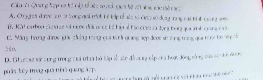 Quang hợp và hô hấp tế bào có mối quan hệ với nhau như thế nào?
A. Oxygen được tạo ra trong quá trình hô hấp tế bào và được sử dụng trong quá trình quang hợp.
B. Khí carbon dioxide và nước thái ra do hô hấp tế bào được sử dụng trong quá trình quang hợp.
C. Năng lượng được giải phóng trong quá trình quang hợp được sử dụng trong quá trình hô hấp tế
bào.
D. Glucose sử dụng trong quá trình hô hấp tế bào để cung cấp cho hoạt động sống của cơ thể được
phân húy trong quá trình quang hợp.
hà o v quang hợp só mối quan hệ với nhau như thế nào?