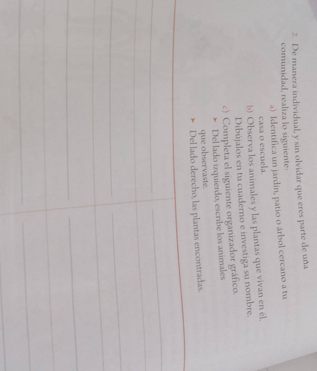 De manera individual, y sin olvidar que eres parte de una 
comunidad, realiza lo siguiente: 
a) Identifica un jardín, patio o árbol cercano a tu 
casa o escuela. 
b) Observa los animales y las plantas que vivan en él. 
Dibújalos en tu cuaderno e investiga su nombre. 
c) Completa el siguiente organizador gráfico. 
Del lado izquierdo, escribe los animales 
que observaste. 
_ 
Del lado derecho, las plantas encontradas. 
_ 
_ 
_ 
_ 
_ 
_ 
_ 
_ 
_ 
_ 
_ 
_ 
_ 
_ 
_ 
_ 
_