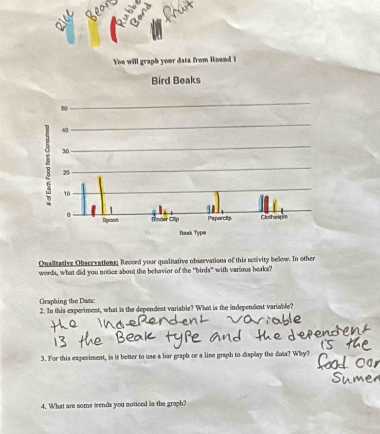 You will graph your data from Round 1 
Qualitative Observations; Record your qualitative observations of this activity below. In other 
words, what did you notice about the behavior of the “birds” with various beaks? 
Graphing the Data: 
2. In this experiment, what is the dependent variable? What is the independent variable? 
3. For this experiment, is it better to use a bar graph or a line graph to display the data? Why? 
4. What are some trends you noticed in the graph?