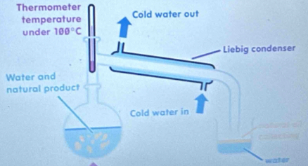 Thermometer
water