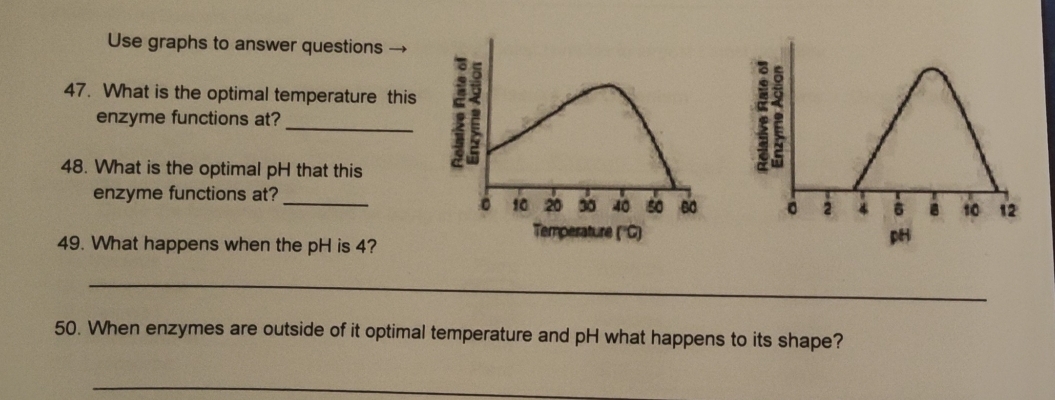 Use graphs to answer questions 
47. What is the optimal temperature this 
enzyme functions at? 
48. What is the optimal pH that this 
enzyme functions at?_ 

Temperature (''C) pH 
49. What happens when the pH is 4? 
_ 
50. When enzymes are outside of it optimal temperature and pH what happens to its shape? 
_