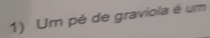 Um pé de graviola é um