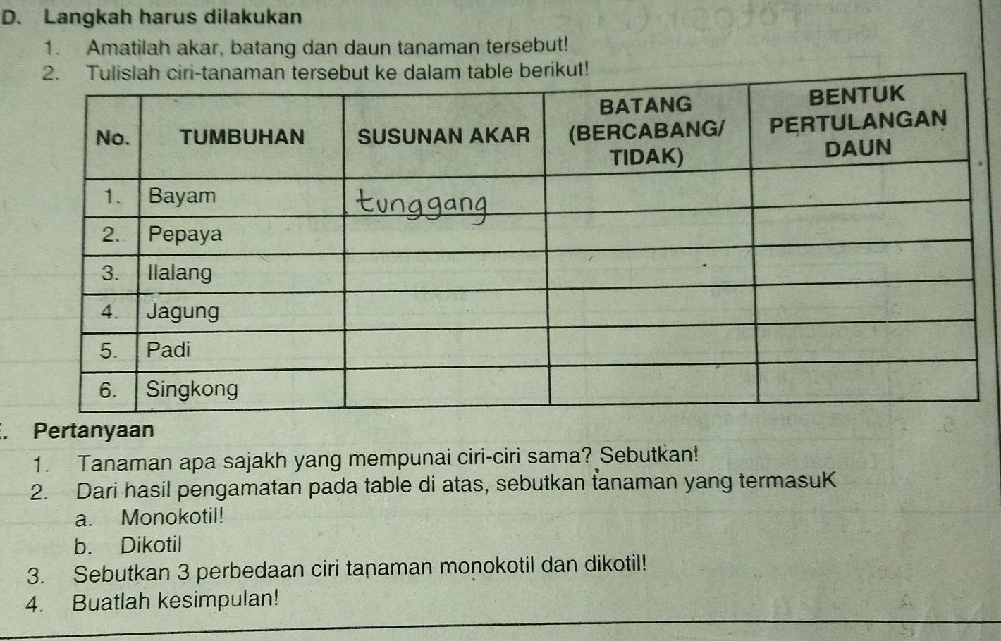 Langkah harus dilakukan 
1. Amatilah akar, batang dan daun tanaman tersebut! 
2. Tulislah ciri-tanaman tersebut ke dalam table berikut! 
. Pertanyaan 
1. Tanaman apa sajakh yang mempunai ciri-ciri sama? Sebutkan! 
2. Dari hasil pengamatan pada table di atas, sebutkan tanaman yang termasuK 
a. Monokotil! 
b. Dikotil 
3. Sebutkan 3 perbedaan ciri tanaman monokotil dan dikotil! 
4. Buatlah kesimpulan!