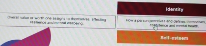 Identity 
Overall value or worth one assigns to themselves, affecting How a person perceives and defines themselves 
resilience and mental wellbeing. confidence and mental health. 
Self-esteem