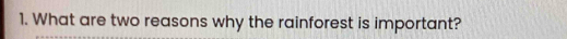What are two reasons why the rainforest is important?