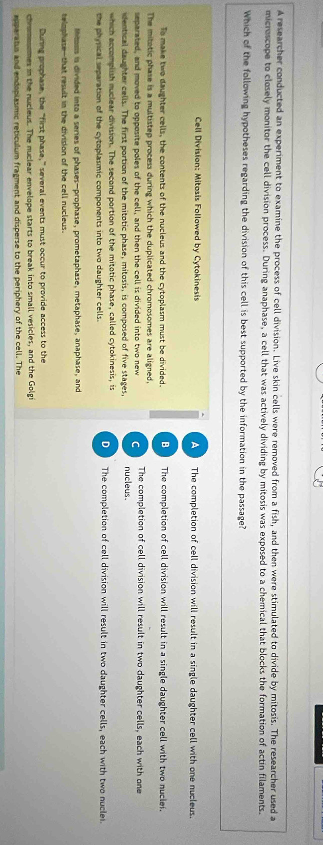 A researcher conducted an experiment to examine the process of cell division. Live skin cells were removed from a fish, and then were stimulated to divide by mitosis. The researcher used a
microscope to closely monitor the cell division process. During anaphase, a cell that was actively dividing by mitosis was exposed to a chemical that blocks the formation of actin filaments.
Which of the following hypotheses regarding the division of this cell is best supported by the information in the passage?
Cell Division: Mitosis Followed by Cytokinesis A The completion of cell division will result in a single daughter cell with one nucleus.
B
To make two daughter cells, the contents of the nucleus and the cytoplasm must be divided. The completion of cell division will result in a single daughter cell with two nuclei.
The mitatic phase is a multistep process during which the duplicated chromosomes are aligned,
separated, and moved to opposite poles of the cell, and then the cell is divided into two new The completion of cell division will result in two daughter cells, each with one
C
identical daughter cells. The first portion of the mitotic phase, mitosis, is composed of five stages, nucleus.
which accomplish nuclear division. The second portion of the mitotic phase, called cytokinesis, is The completion of cell division will result in two daughter cells, each with two nuclei.
D
the phyrical separation of the cytoplasmic components into two daughter cells.
Mntous is divided into a series of phases—prophase, prometaphase, metaphase, anaphase, and
telophase—that result in the division of the cell nucleus.
During prophase, the “first phase,” several events must occur to provide access to the
chromenomes in the nucleus. The nuclear envelope starts to break into small vesicles, and the Golgi
epperatus and endoplasmic reticulum fragment and disperse to the periphery of the cell. The