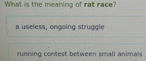 What is the meaning of rat race?
a useless, ongoing struggle
running contest between small animals