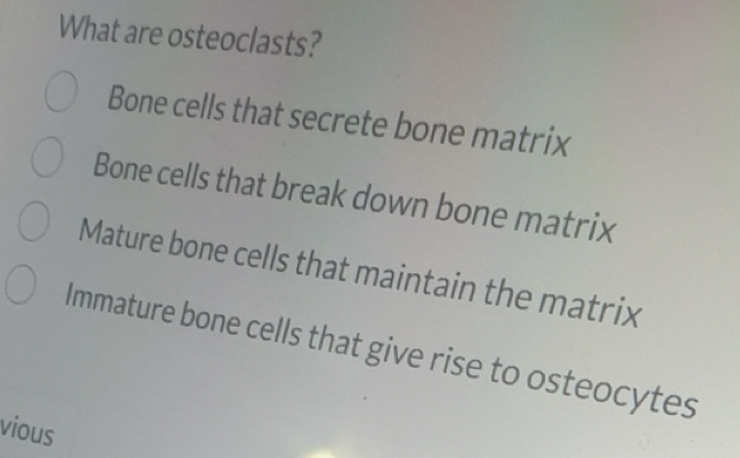 Solved: What are osteoclasts? Bone cells that secrete bone matrix Bone ...