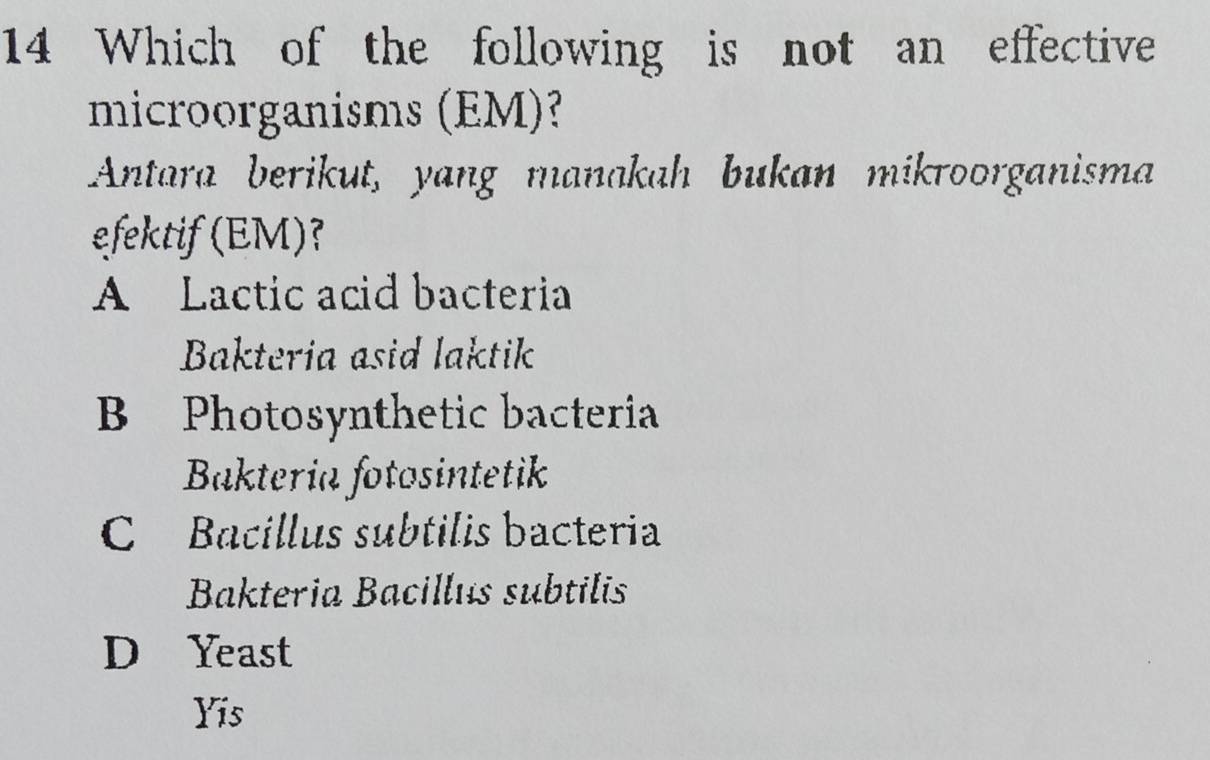 Which of the following is not an effective
microorganisms (EM)?
Antara berikut, yang manakah bukan mikroorganisma
efektif (EM)?
A Lactic acid bacteria
Bakteria asid laktik
B Photosynthetic bacteria
Bakteria fotosintetik
C Bacillus subtilis bacteria
Bakteria Bacillus subtilis
D Yeast
Yis