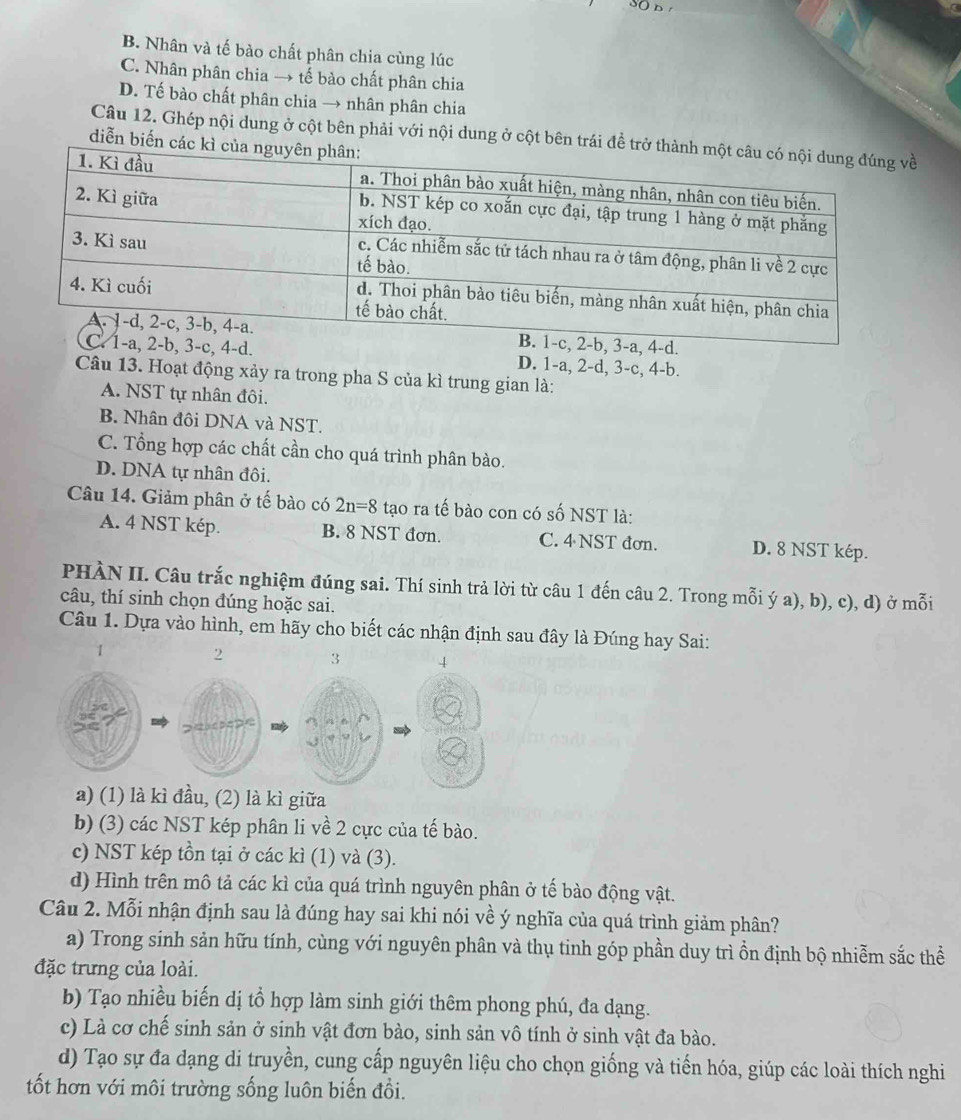 B. Nhân và tế bào chất phân chia cùng lúc
C. Nhân phân chia → tế bào chất phân chia
D. Tế bào chất phân chia → nhân phân chia
Câu 12. Ghép nội dung ở cột bên phải với nội dung ở cột bên trái đề trở 
diễn biến các kì
4-d.
D. 1-a, 2-d, 3-c, 4-b.
Câu 13. Hoạt động xảy ra trong pha S của kì trung gian là:
A. NST tự nhân đôi.
B. Nhân đôi DNA và NST.
C. Tổng hợp các chất cần cho quá trình phân bào.
D. DNA tự nhân đôi.
Câu 14. Giảm phân ở tế bào có 2n=8 tạo ra tế bào con có số NST là:
A. 4 NST kép. B. 8 NST đơn. C. 4 NST đơn. D. 8 NST kép.
PHÀN II. Câu trắc nghiệm đúng sai. Thí sinh trả lời từ câu 1 đến câu 2. Trong mỗi ý a), b), c), d) ở mỗi
câu, thí sinh chọn đúng hoặc sai.
Câu 1. Dựa vào hình, em hãy cho biết các nhận định sau đây là Đúng hay Sai:
1
2 3 4
a) (1) là kì đầu, (2) là kì giữa
b) (3) các NST kép phân li về 2 cực của tế bào.
c) NST kép tồn tại ở các kì (1) và (3).
d) Hình trên mô tả các kì của quá trình nguyên phân ở tế bào động vật.
Câu 2. Mỗi nhận định sau là đúng hay sai khi nói về ý nghĩa của quá trình giảm phân?
a) Trong sinh sản hữu tính, cùng với nguyên phân và thụ tinh góp phần duy trì ồn định bộ nhiễm sắc thể
đặc trưng của loài.
b) Tạo nhiều biến dị tổ hợp làm sinh giới thêm phong phú, đa dạng.
c) Là cơ chế sinh sản ở sinh vật đơn bào, sinh sản vô tính ở sinh vật đa bào.
d) Tạo sự đa dạng di truyền, cung cấp nguyên liệu cho chọn giống và tiến hóa, giúp các loài thích nghi
ốt hơn với môi trường sống luôn biến đổi.