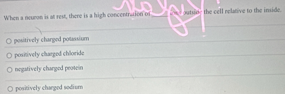 When a neuron is at rest, there is a high concentration of _ions outside the cell relative to the inside.
positively charged potassium
positively charged chloride
negatively charged protein
positively charged sodium