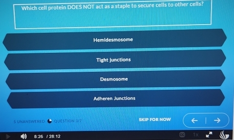 Which cell protein DOES NOT act as a staple to secure cells to other cells?
Hemidesmosome
Tight junctions
Desmosome
Adheren Junctions
S UNANSWERED QUESTION 3/7 SKIP FOR NOW
B. 12