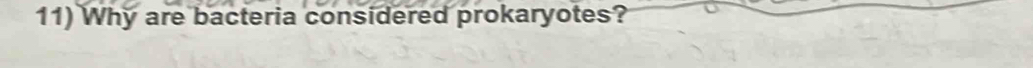 Why are bacteria considered prokaryotes?