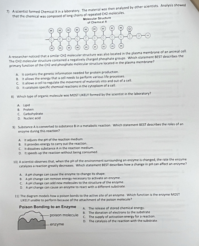 A scientist formed Chemical X in a laboratory. The material was then analyzed by other scientists. Analysis showed
that the chemical was composed of long chains of repeated CH2 molecules.
Molecular Structure
of Chemical X
A researcher noticed that a similar CH2 molecular structure was also located in the plasma membran of an animal cell.
The CH2 molecular structure contained a negatively charged phosphate groups Which statement BEST describes the
primary function of the CH2 and phosphate molecular structure located in the plasma membrane?
A. It contains the genetic information needed for protein production.
B. It allows the energy that a cell needs to perform various life processes.
C. It allows a cell to regulate the movement of materials into and out of a cell.
D. It catalyzes specific chemical reactions in the cytoplasm of a cell.
8) Which type of organic molecule was MOST LIKELY formed by the scientist in the laboratory?
A. Lipid
B Protein
C. Carbohydrate
D. Nucleic acid
9) Substance A is converted to substance B in a metabolic reaction. Which statement BEST describes the roles of an
enzyme during this reaction?
A. It adjusts the pH of the reaction medium.
B. It provides energy to carry out the reaction.
C. It dissolves substance A in the reaction medium
D. It speeds up the reaction without being consumed.
10) A scientist observes that, when the pH of the environment surrounding an enzyme is changed, the rate the enzyme
catalyzes a reaction greatly decreases. Which statement BEST describes how a change in pH can affect an enzyme?
A. A pH change can cause the enzyme to change its shape
B. A pH change can remove energy necessary to activate an enzyme
C. A pH change can add new molecules to the structure of the enzyme.
D. A pH change can cause an enzyme to react with a different substrate
11) The diagram models how a poison bonds to the active site of an enzyme. Which function is the enzyme MOST
LIKELY unable to perform because of the attachment of the poison molecule?
Poison Bonding to an Enzyme A. The release of stored chemical energy.
B. The donation of electrons to the substrate
poison molecule C. The supply of activation energy for a reaction.
D. The catalysis of the reaction with the substrate
enzyme